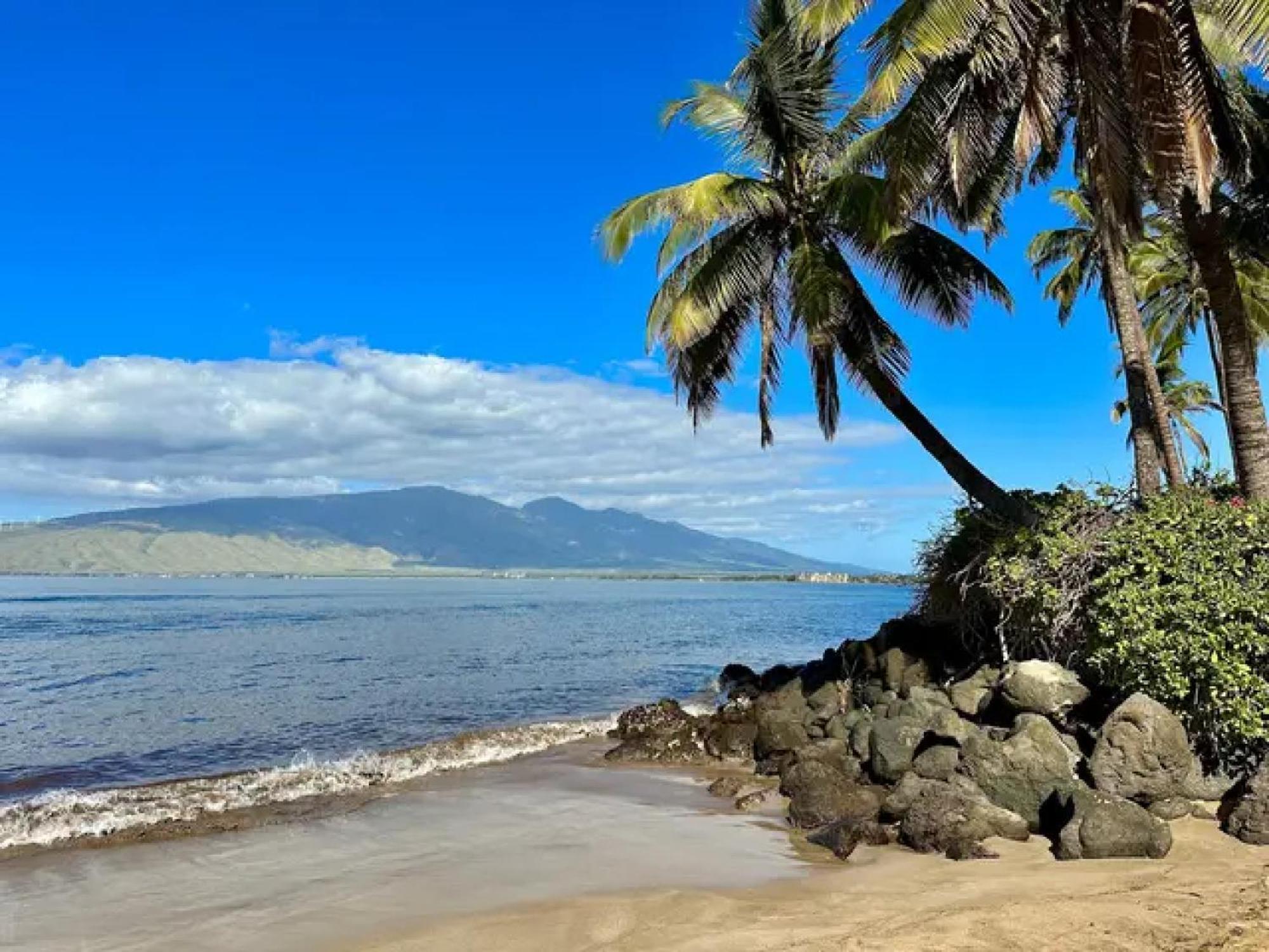 3Mins Walk To Beach! Laundry, Pool, Hot Tub & More Kihei Εξωτερικό φωτογραφία